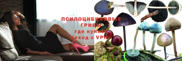 каннабис Алзамай