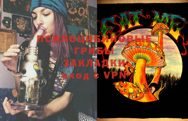 ешки Алексеевка